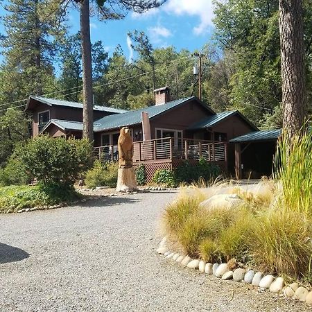 Uncle Grizz'S Cabin...Get Intouch With Nature Bass Lake Annex 외부 사진