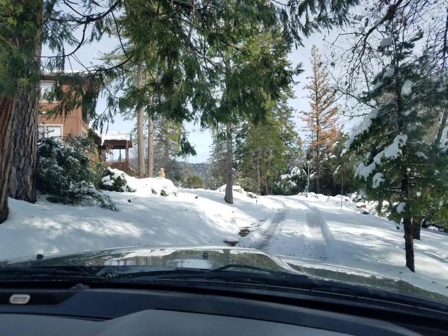 Uncle Grizz'S Cabin...Get Intouch With Nature Bass Lake Annex 외부 사진